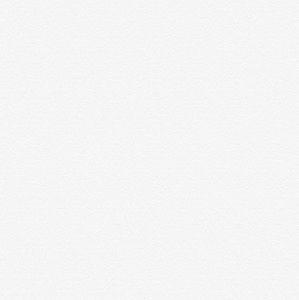 Meet your Posher, Tramya